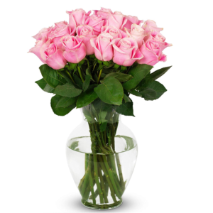 24 pink roses vase