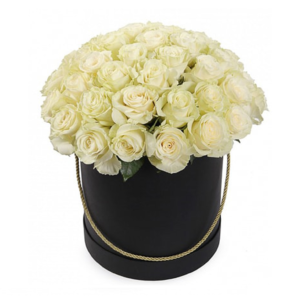 24 white roses box