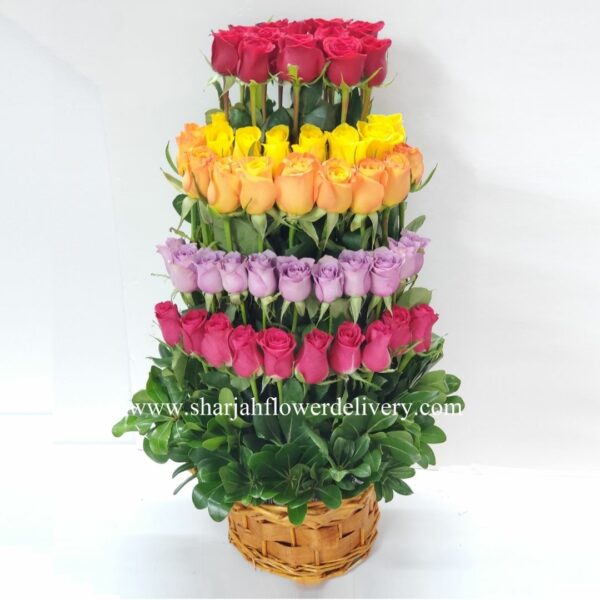 50 multi color roses