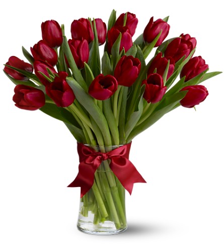 20 Red Tulips in Glass Vase wih Free Delivery