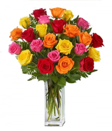 24-Long-Stemmed-Mixed-Roses