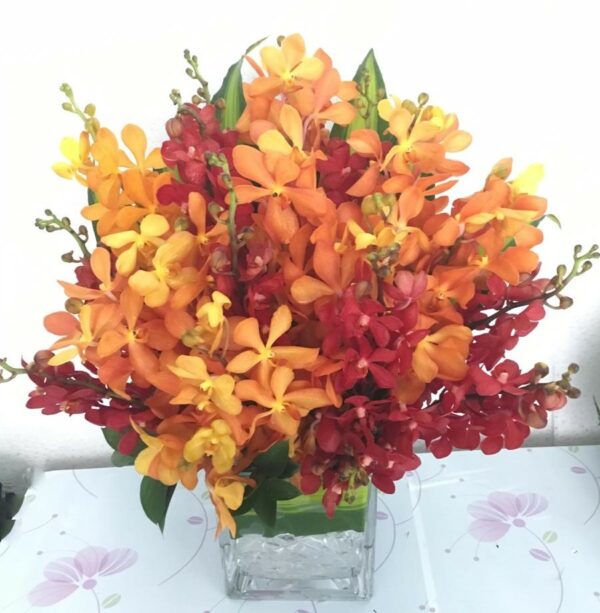 10 Red, Orange Mukara Orchids in vase