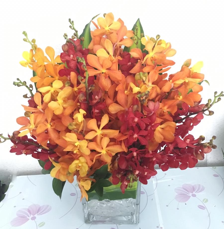Red Orange Wild Orchids Delivery in Sharjah by Flower Shop