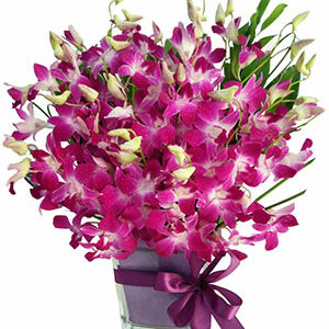 Posh Purple Orchids On Top of Short Vase for Sharjah