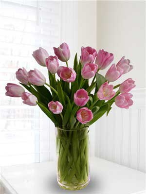 20-Pink-Tulips-in-Glass-Vase