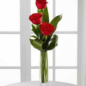 Explicit Love – 3 Red Roses in Glass Vase for Gift Delivery