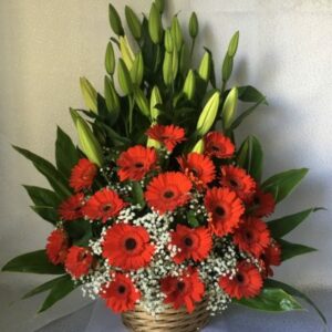 gerbera lilies basket for same day free delivery