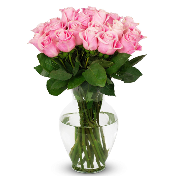 24 pink roses vase