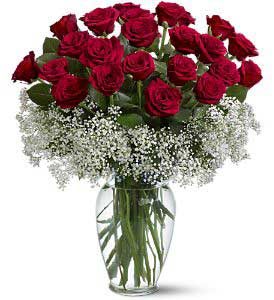 24 red roses valentine for free delivery
