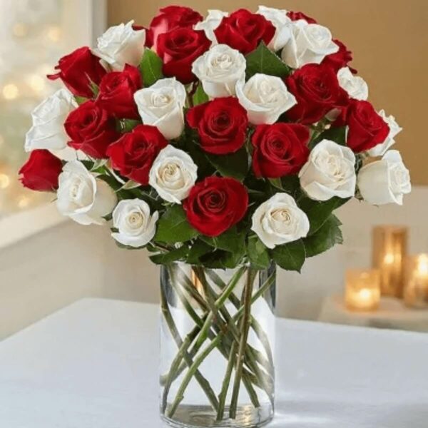 24 roses vase