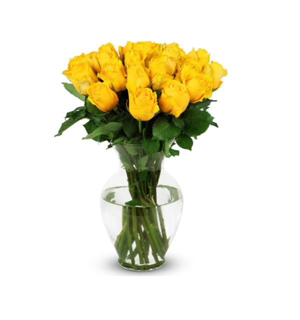 24 yellow roses vase