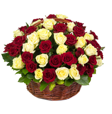 50 red white roses basket