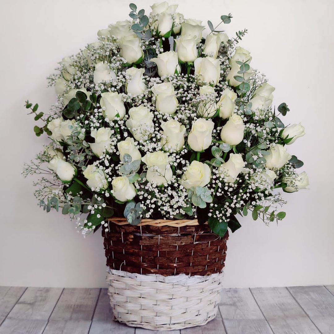 50 white roses basket