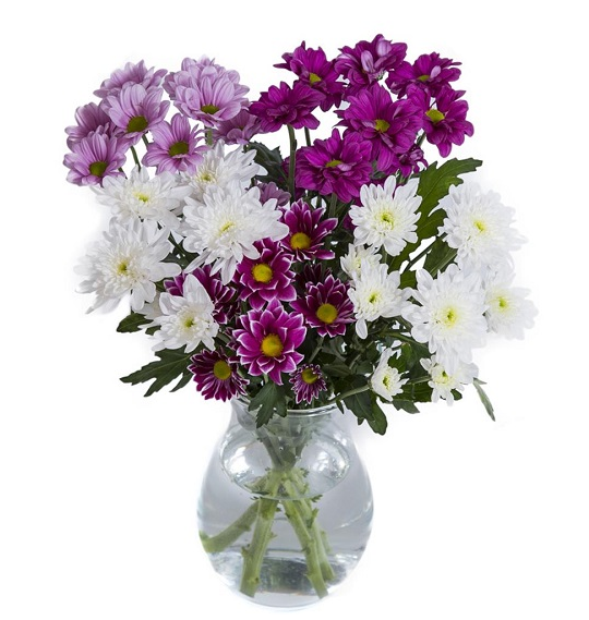 Mixed Chrysanthemum Vase