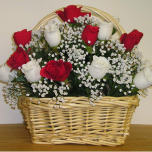 20 Red White Roses