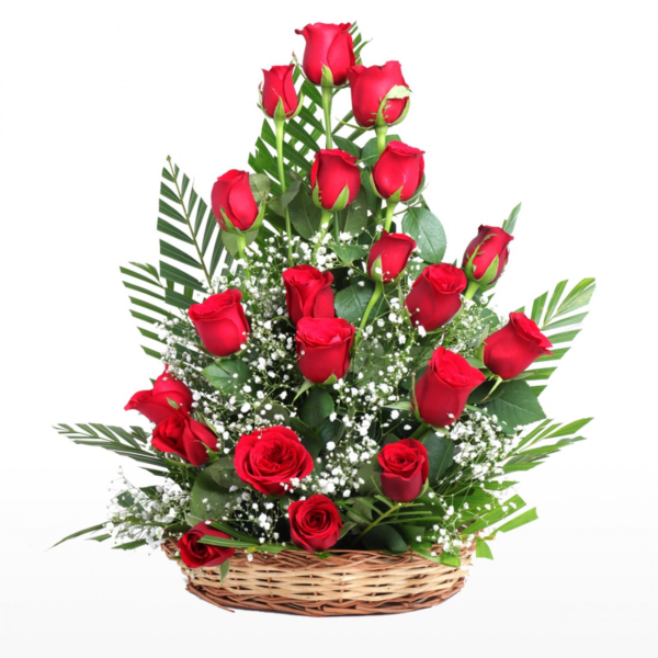 20 red roses basket