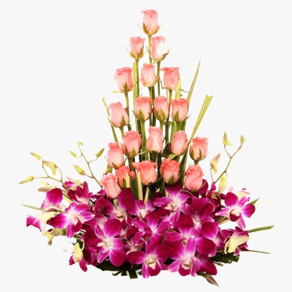 pink roses orchid basket