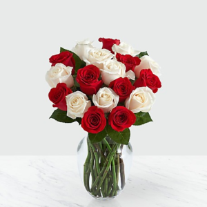 15 red white roses