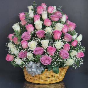 50 pink white roses