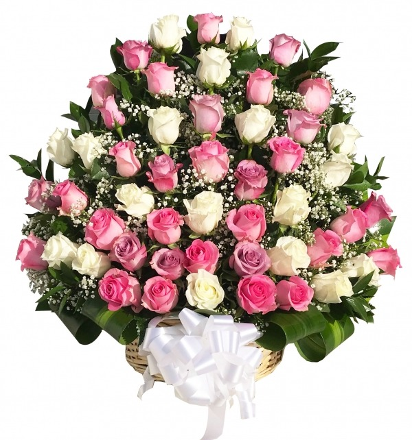 50 pink white roses basket