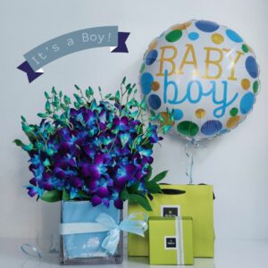 baby boy gift delivery