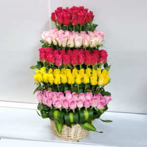 Enjoy day with our 100 multi colour roses