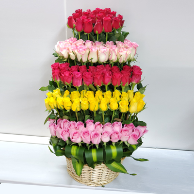 100-multi-color-roses