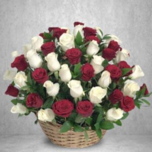 51 Red and White Roses in the Basket