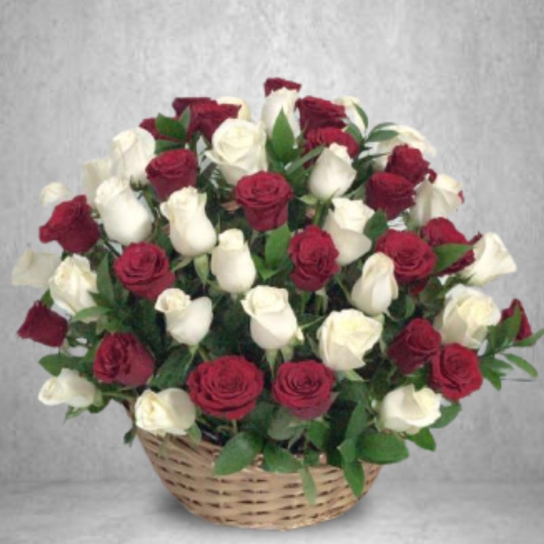 51 Red White Roses in the Basket