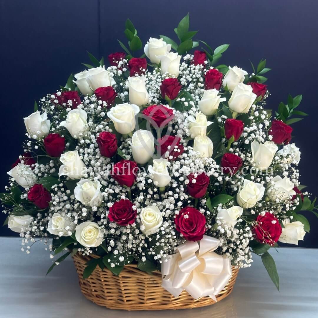 70 red white roses